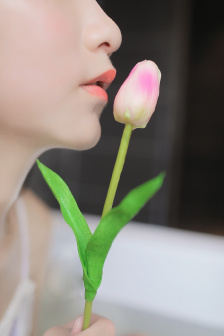 晴雅集百度云
